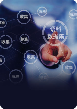 多语言数据处理与优化